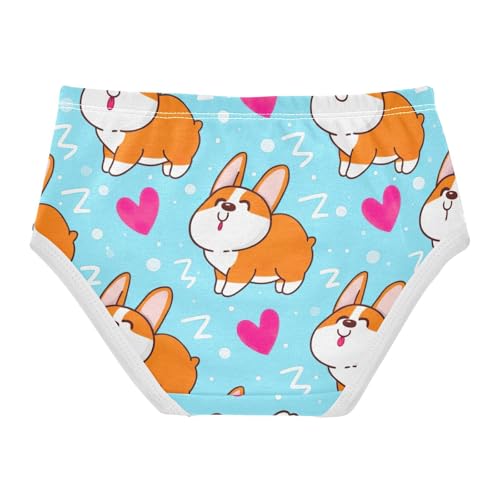 Toddler Underwear Floral 2t Cotton Panties Little Girl Flower Briefs Girls Undies Cute Cartoon Corgi Dogs Light Blue2