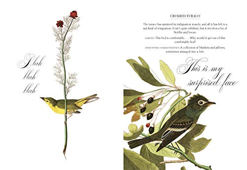Effin' Birds: A Field Guide To Identification #TOP1