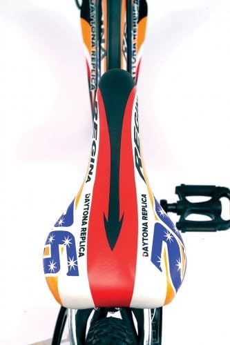 BICI REGINA JUNIOR DAYTONA 26\