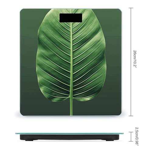 Báscula Digital de Baño Tropical Hoja Veraniega 400 lb miniatura 2
