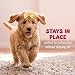 FIQLUL 10 Piezas Accesorios para Perros y Gatos Imagen de FIQLUL 10 Piezas Accesorios para Perros y Gatos
