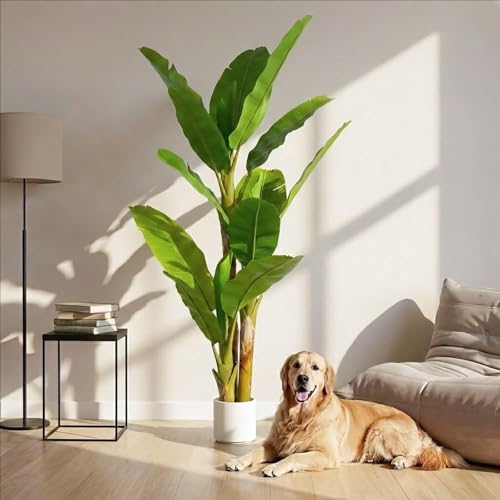 nqu 6FT Artificial Banana Tree Luxury Faux Banana Plant Fake Tree for Living Room Decor Extra Large Tropical Silk Tree Indoor Floor Plant Home Modern Office Greenery Big Tall Fake Plants Corner Decor