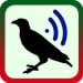 Bird Sound Ringtones
