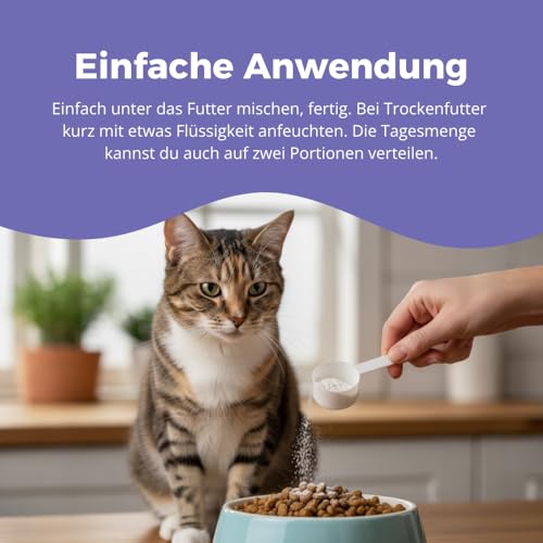 purapep Senior Power Pulver– 5-Fach Nährstoffkomplex mit Molkenprotein, Omega-3, Taurin & Vitaminen für Hunde & Katzen Senioren – Muskelaufbau & Fitness-Booster im Alter – 100 g