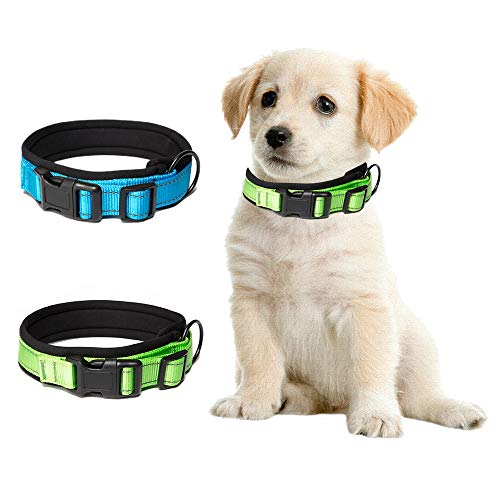 O'woda Collare e Guinzaglio per Cani Riflettente