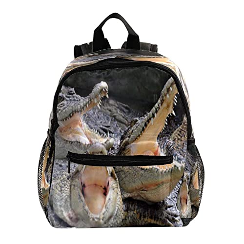 Mochila Cocodrilo Cocodrilo Aniaml Salvaje Divertido Bolsa Mochila De Jardín De Infantes De 3 A 8 Años Cover