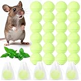 24 Stück Mäuseabwehr mit Pfefferminzöl - Natürliches Mäuse Vertreiben...