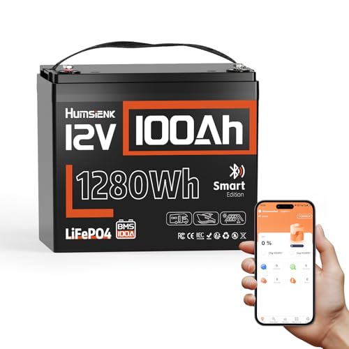 12V 100Ah LiFePO4 Battery Bluetooth, BCI Group 24 Deep Cycle Lithium Battery, Built-in 100A BMS with Low-Temp Protection, 15000 Deep Cycles Battery for RV, Marine, Trolling Motors, Off Grid etc.