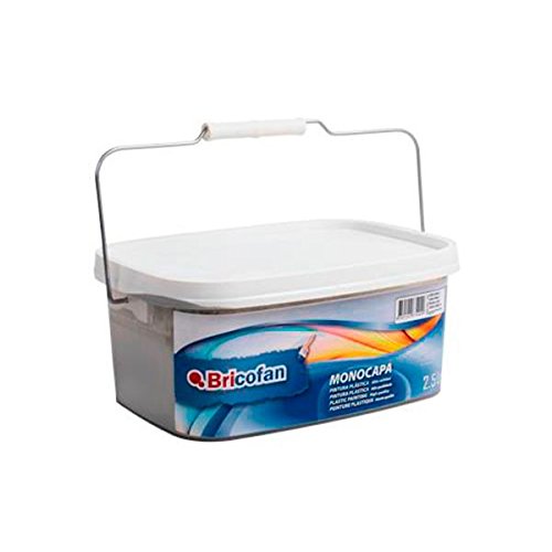 Cofan 15002524 Pintura plástica monocapa, Gris Perla, 2.5 L