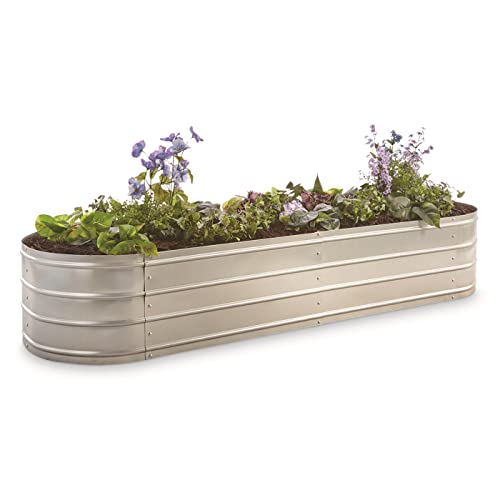 Best Horse Troughs For Planters