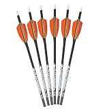 Fleetwood Arrows with Feathers (Orange, Spine 800)