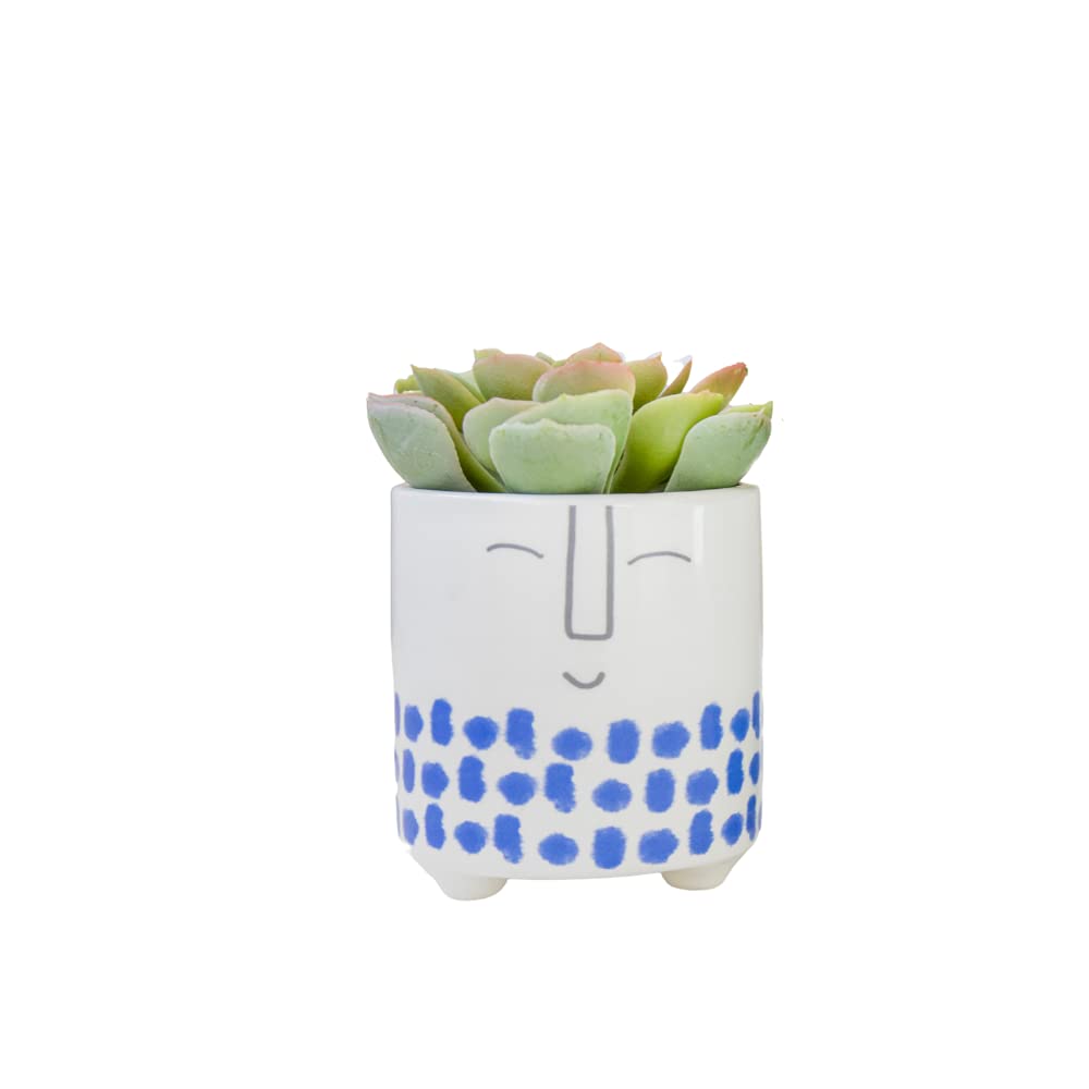 KitchenCraft Smiley Planter - Blue Ceramic Pot for Indoor Plants -2 KitchenCraft Smiley Planter - Blue Ceramic Pot for Indoor Plants -2