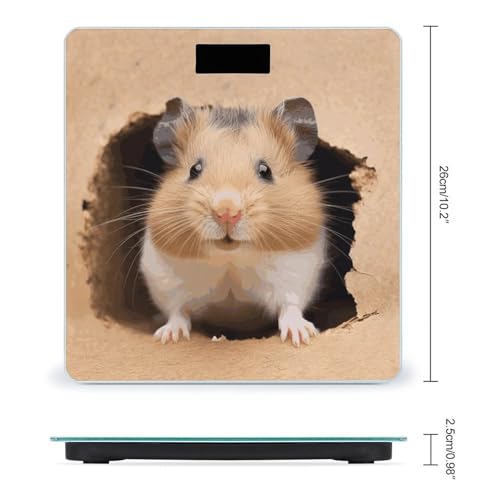 Báscula digital de vidrio templado para baño 10.2" x 10.2" miniatura 2