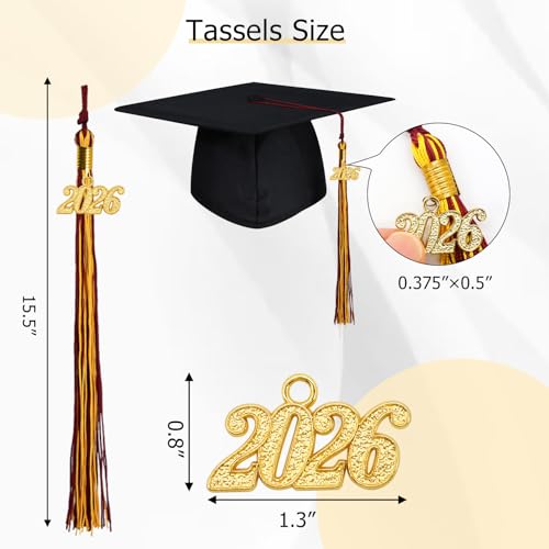 Image of GraduationMall Single&Multiple Color Graduation Tassel with 2026 Year Charm 9 inch