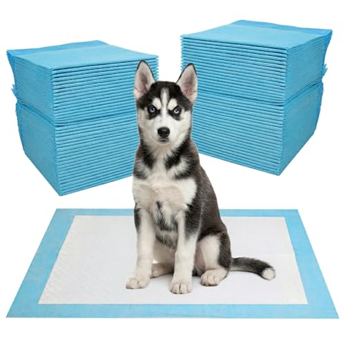 JANUIXCO 100 Pièces Alaise pour Chien, 60 × 60 cm Aleses Jetables pour Chien, Anti-Fuite et Résistante - Tapis Absorbant Chien, Super Absorbants,...