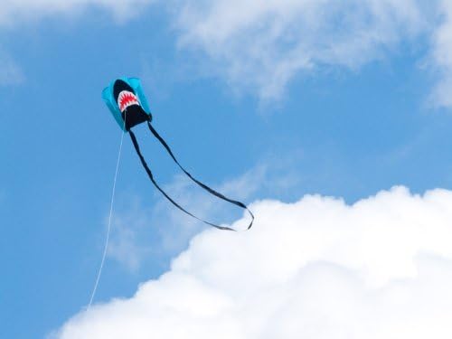 HQ Kites Pocket Sled Single Line Kite - Sharky