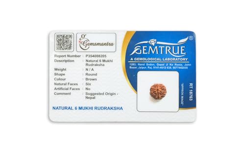 Image of GEMSMANTRA 6 Mukhi Rudraksha Without Silver Pendant Original Nepali, Regular Size, Natural and Lab Certified, Helps to Improve Wisdom, Knowledge, Helps in Balance Emotional Stability for Men & Women