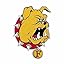 Ferris State Bulldogs Primary
