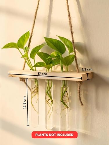 Image of Hanging Planter Set of 2 with Wooden Holder & Rope | 6 Test Tube Hanging Planter For Indoor | Wooden Planter for Home Decor, Living Room, Balcony & Office Decoration
