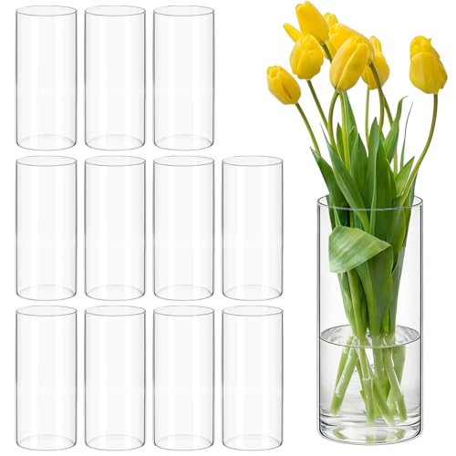 12 Pack Glass Cylinder Vases 8 Inch Tall Clear Flower Bulk Vase for Centerpieces Hurricane Floating Candle Holder for Table Home Home Decor Floral Shelf Party Dining Wedding Holiday Decoration