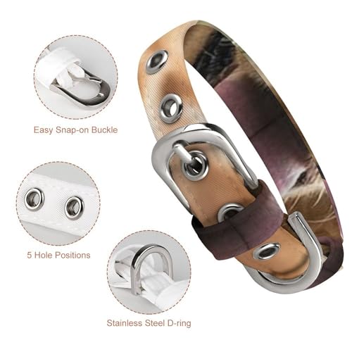 Collier réglable Golden Retriever évite traction chiens chats - 4