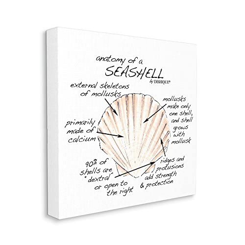 Image of 'Anatomy of Seashell Educational Marine Life'| Canvas Art | Stupell Industries | 17 x 17 Inches, Easy to Hang and Sturdy, Made in USA, by Dishique