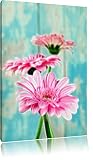 Pixxprint Gerbera Blüten, Größe: 60x40cm, Leinwandbild, 