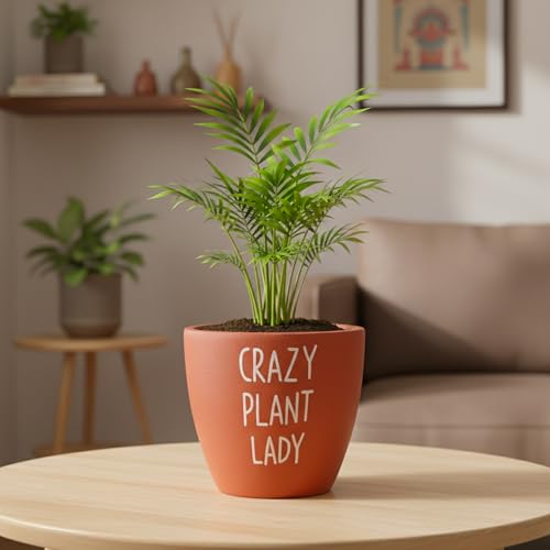 Image of Urban Plant Playful Clay Canvas Terracotta Pot with Drainage Hole (5.1 Inch) | inchCrazy Plant Lady inch Decorative Planter | Breathable Clay Pot for Indoor Plants | Ideal for Home Decor, Gifts, Desk.