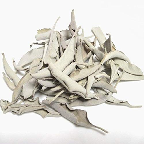 Amazon.co.jp: 完全無農薬 ホワイトセージ リーフ 5g 枝なし