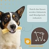 6 Stück PetLove Hartkäse für Hunde • 100% natürlicher Kauknochen aus Käse • Kaukäse Hund • Kauspaß & Zahnpflege • Ideal für unterwegs • 6er Pack • Größe XS: 10-30g