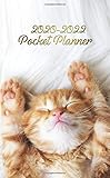 2020-2022 Pocket Planner: Adorable Cat 3 Year Monthly Organizer & Calendar with Phone Book, Password Log & Notebook - Three Year Agenda  & Diary with Inspirational Quotes - Sleeping Ginger Kitten