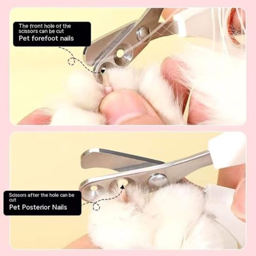Image of Cat Nail Cutter Stainless Steel Pet Nail Clipper with Non-Slip PP Handle Safe & Cute Grooming Tool for Cats Kittens & Small Pets with Two Holes