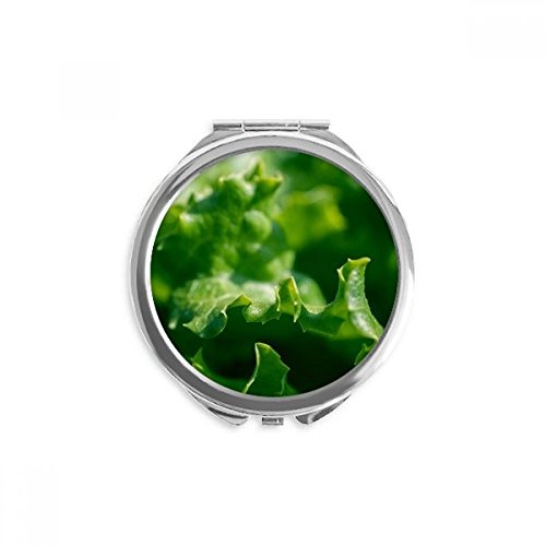 Miroir de poche plante et feuille verte, idéal pour votre sac à main lors de vos déplacements