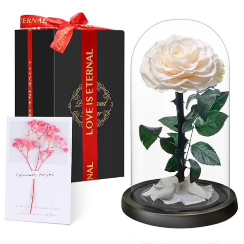 Touloube Flores Preservadas, Rosa Eterna Natural Bella y Bestia en Cúpula de Cristal, Regalo de Día de la Madre Mamá, Mujer, Abuela y Novia, Ideal para Aniversario, San Valentín, Navidad
