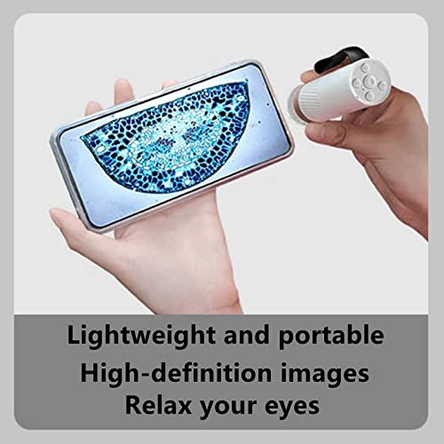 Beaverlab Wireless Lab Handheld Digital Microscope,Portable Wifi Usb Microscope Real 400X Hd Magnification,Photo/Video Capture For Kids Adults,Compatible With Iphone,Ipad,Android,Mac,Windows #TOP4