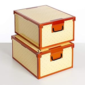 KANGURU Aufbewahrungsboxen aus Karton, Geschenkboxen aus pappe mit deckel 40x50x25cm BEIGE 2 STÜCK LILIEN GROSS, BIG