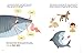 Raintree My Life as a Great White Shark (My Life Cycle).