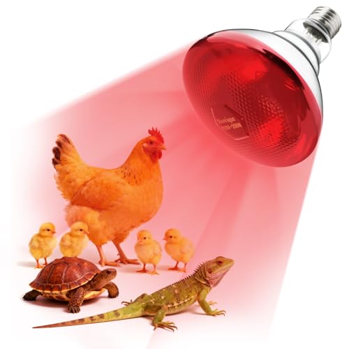 Novique 250W Heat Lamp Bulbs 1 Pack Infrared Heat Lamp for Chickens with E26 Socket and 5000 Hours Lifespan Heat Light Bulb for Pets Chicks Reptile Food Service Brooder Coop