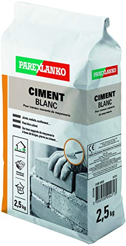 ParexGroup 2869 - Cemento (2,5 kg), color blanco