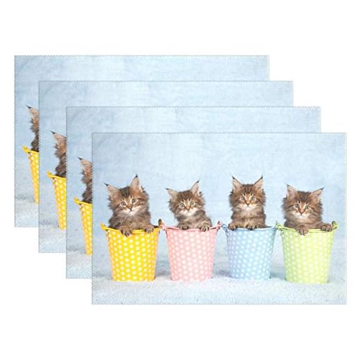 NA Maine Coon Kattungar Katt Kopp Bordstabletter Set om 4, Värmebeständiga Tvättbara Polyester Köksbordsunderlägg