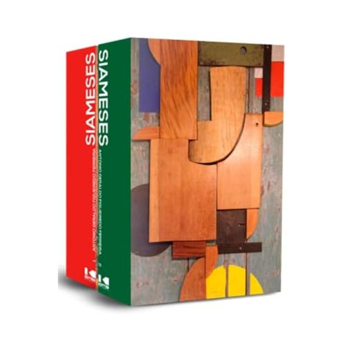 Siameses 2 volumes: Prêmio Machado de Assis – Melhor Romance Biblioteca Nacional 2022