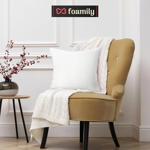 Foamily Throw Pillow Insert 18 x 18 inch Hypoallergenic 100% Virgin Fiber Made in USA Bed, Sofa, Couch Decorative Indoor Pillows