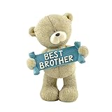 PlentifulHome Resin Bear Figurines Cute Cub Holding Best Brother Banner Decorations Great Gift for Your Brother