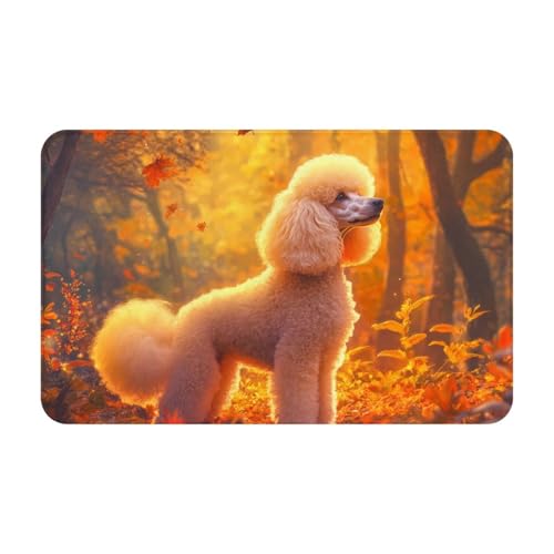 TZTTZT Tapis de bain absorbant et antidérapant lavable en machine Motif caniche feuilles d'érable 30 x 50 cm