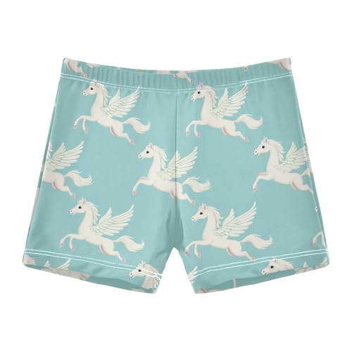 Cute Horse with Wings Cute Colored Cats Boys Swim Trunks Swimsuits for Toddler Boy Swim Shorts Trunks 3-10T