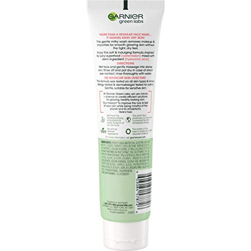 Garnier Skinactive Green Labs Hyalu-Melon Smoothing Milky Washable Cleanser With Hyaluronic Acid + Watermelon For Dehydrated Skin, Fine Lines, (Packaging May Vary), 4.4 Fl Oz #TOP1