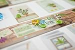Buffalo Games Planted par Phil Walker-Harding - Buffalo Games : Collectez et cultivez des plantes d'intérieur - Soirée de jeux pour adultes - Jeu de construction de deck