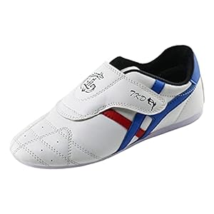 Taekwondo Schoenen,Ademende Kung Fu Tai Chi Schoenen Voor Volwassenen En Kinderen (Color : White, Size : 43 EU)
