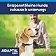 ADAPTIL Calm Halsband für kleine Hunde