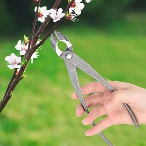 Bonsai Tools, Cortador de Rama Cóncava 8 Pulgadas Acero miniatura 3